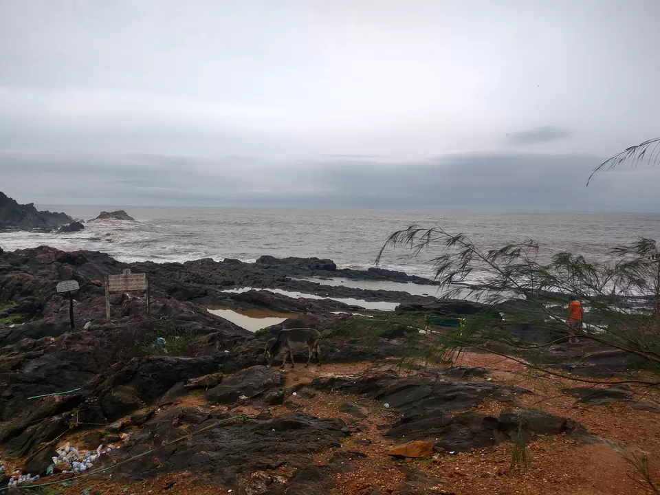 Photo of Om Beach, Gokarna, Karnataka, India by Footloose Backpackers