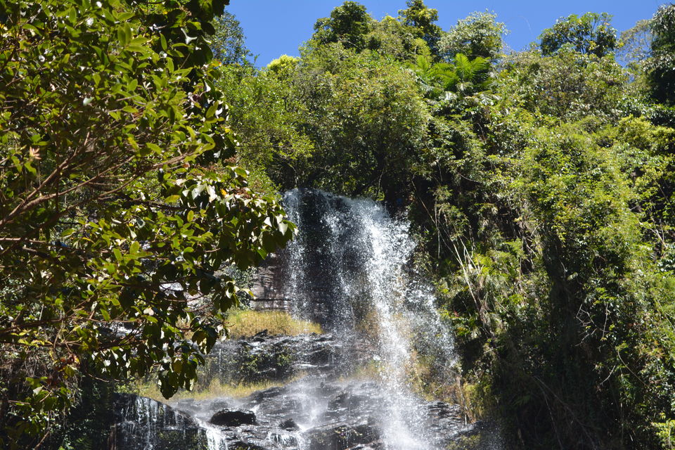 Photo of Jhari Waterfall (Buttermilk Falls), Attigundi Road, Inam Dattathreya Peeta, Karnataka, India by Footloose Backpackers