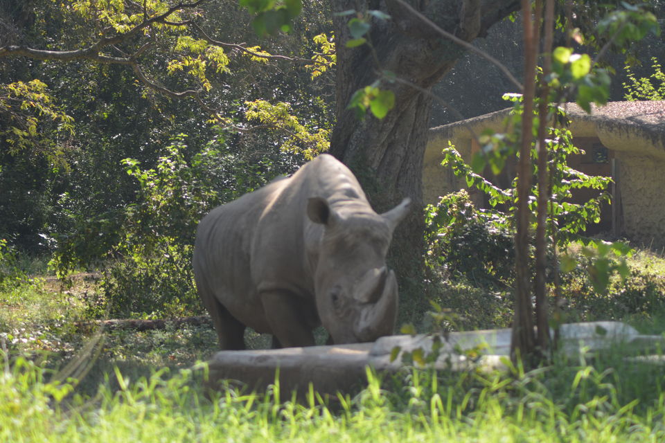 Photo of Mysore Zoo, Mysuru, Karnataka, India by Footloose Backpackers