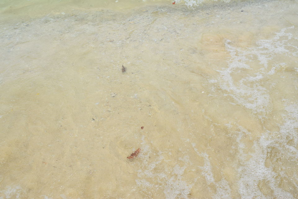 Photo of Koh Phi Phi (Tonsai Pier) Ao Nang Krabi Thailand by Footloose Backpackers