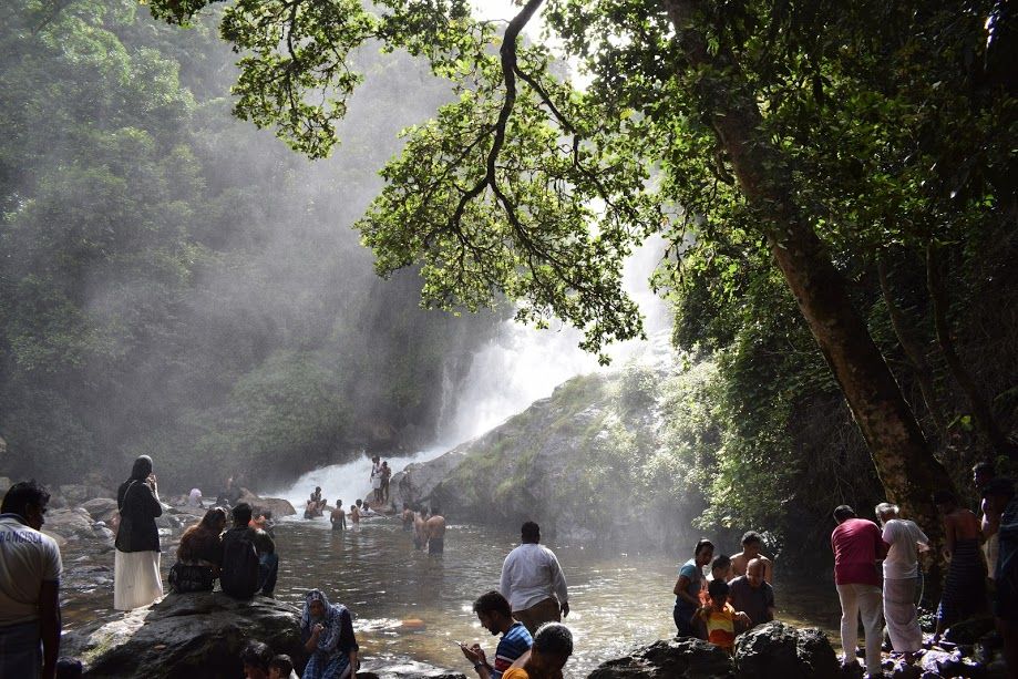 Photo of Marvellous Munnar- God's Own Country (4-day trip) by Footloose Backpackers