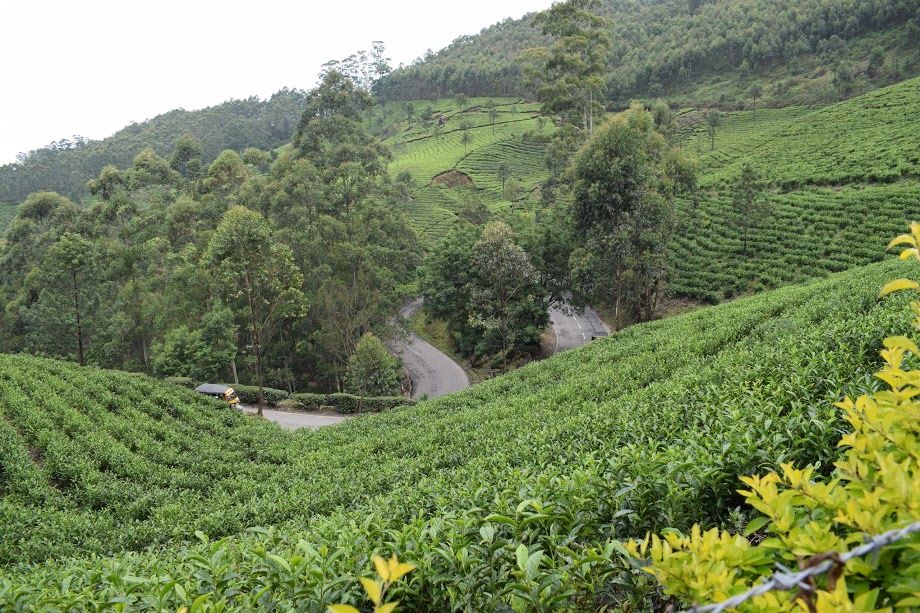 Photo of Photo Point, Munnar, Munnar - Top Station Highway, Ikka Nagar, Munnar, Kerala, India by Footloose Backpackers