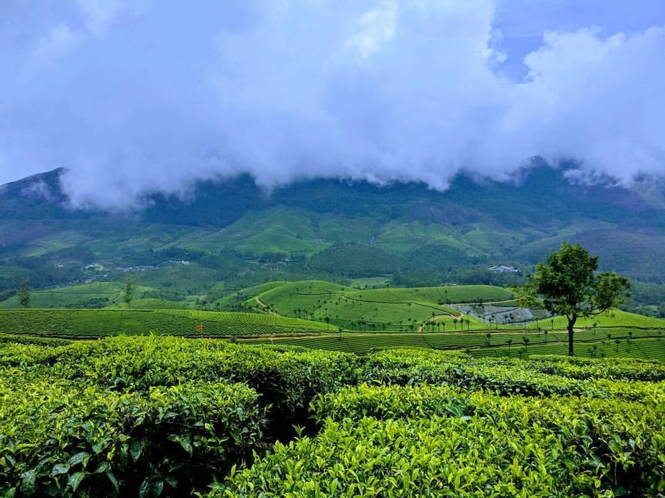 Photo of Devikulam, Kerala, India by Footloose Backpackers