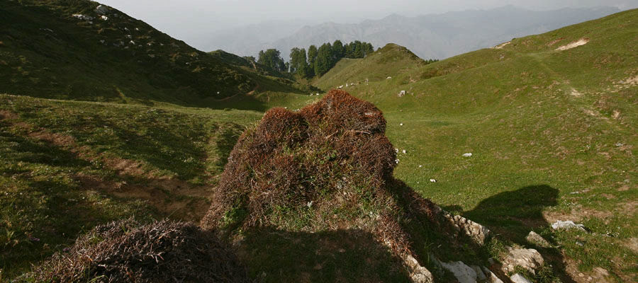 Photo of A miniscule shangri-la: Gorchha Village! by Footloose Backpackers