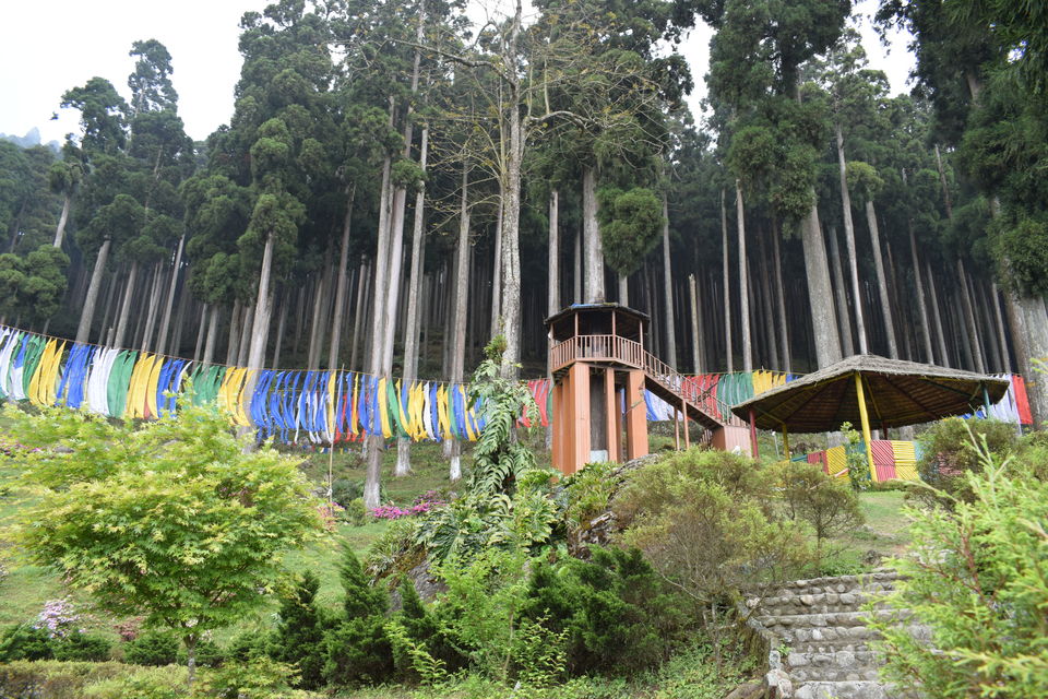 Photo of Exploring Darjeeling in half a day- Part 1 of Sikkim Tour by Footloose Backpackers