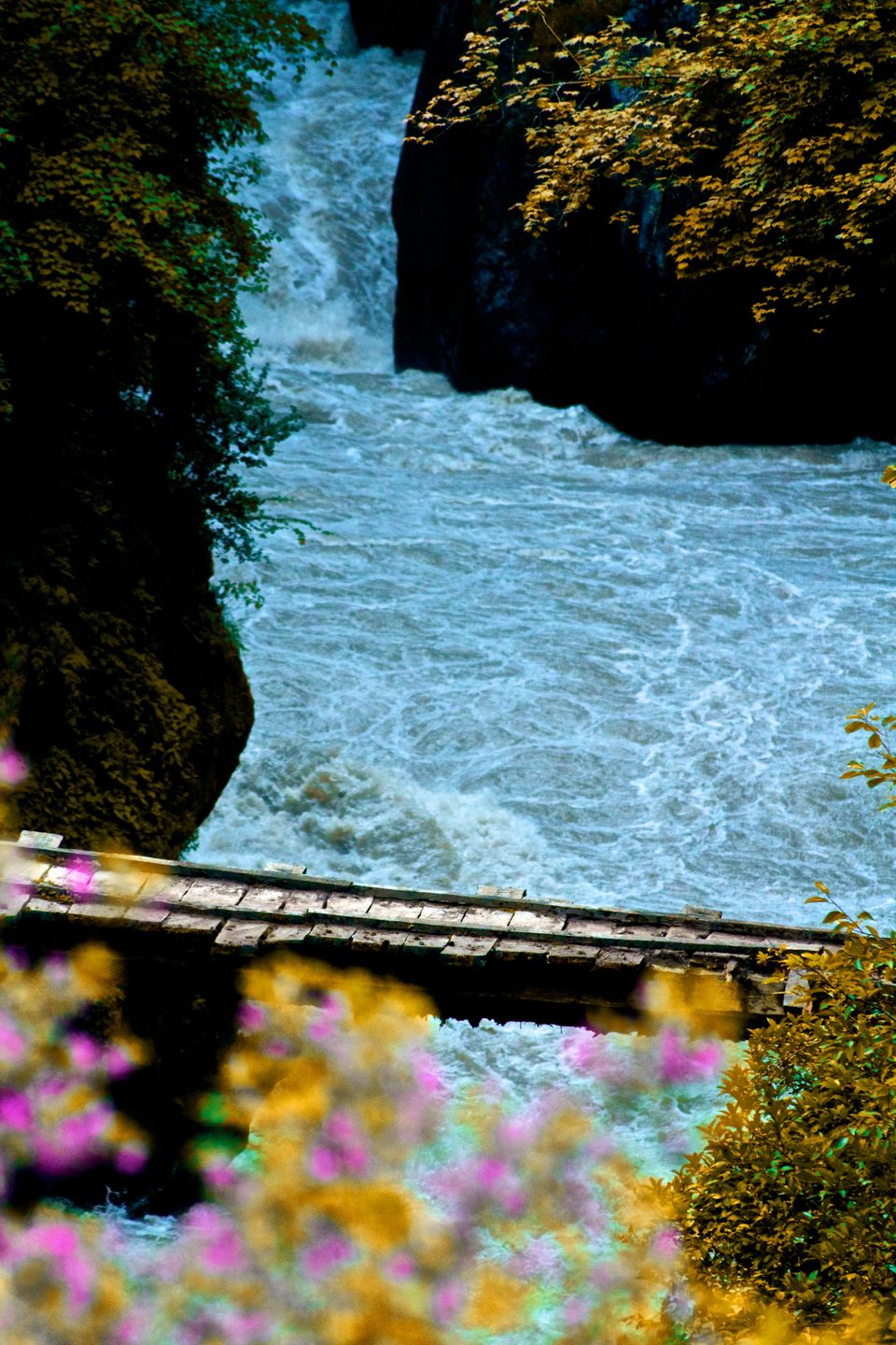Photo of Kheerganga - Classic Hippie Trail 11/16 by Kunal Mathur