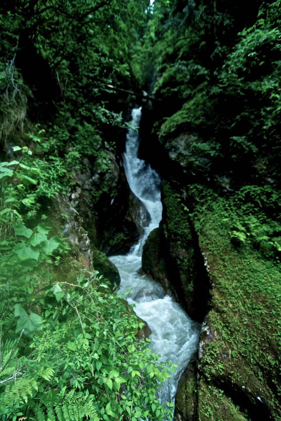 Photo of Kheerganga - Classic Hippie Trail 14/16 by Kunal Mathur