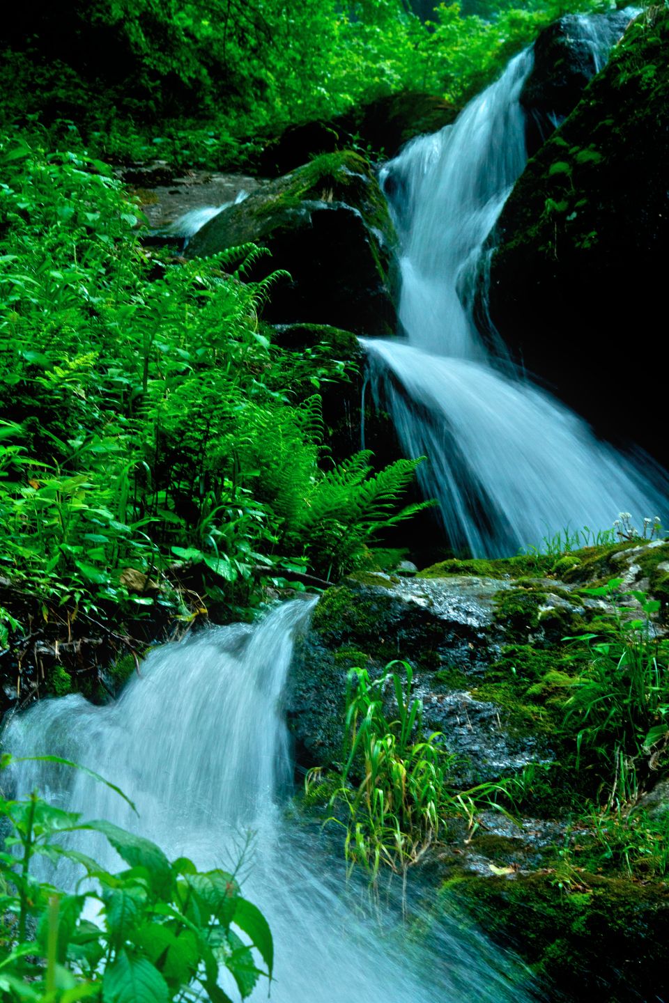 Photo of Kheerganga - Classic Hippie Trail 16/16 by Kunal Mathur