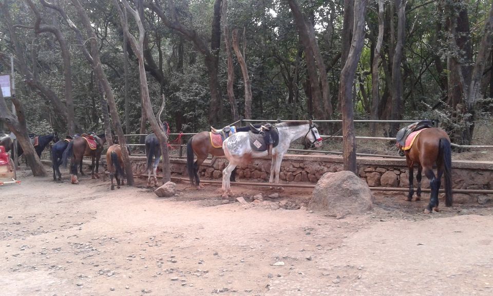 Photo of Mystical Matheran 11/34 by Jayati Sen