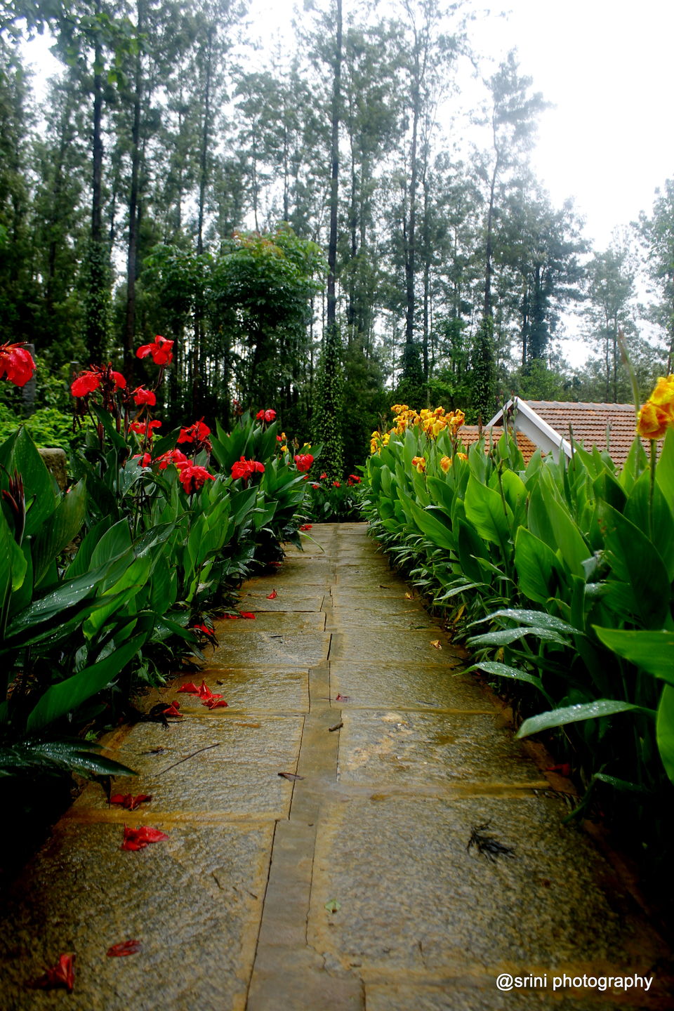 Photo of Nirvana Kutira - A Rejuvenating Stay Experience in Chikmagalur 2/28 by Srinivas Murthy