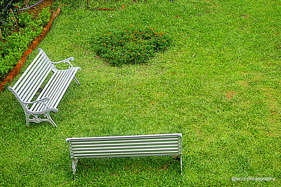 Photo of Nirvana Kutira - A Rejuvenating Stay Experience in Chikmagalur 16/28 by Srinivas Murthy
