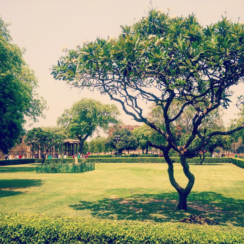 Photo of Why the “minars” of Delhi still amaze 3/6 by Karabi Mitra