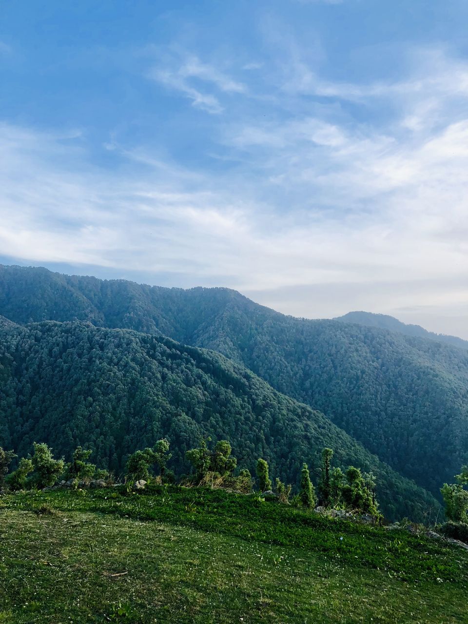 Photo of First Trek & The Mount of Nag Tibba .. 3/12 by Richa Devale