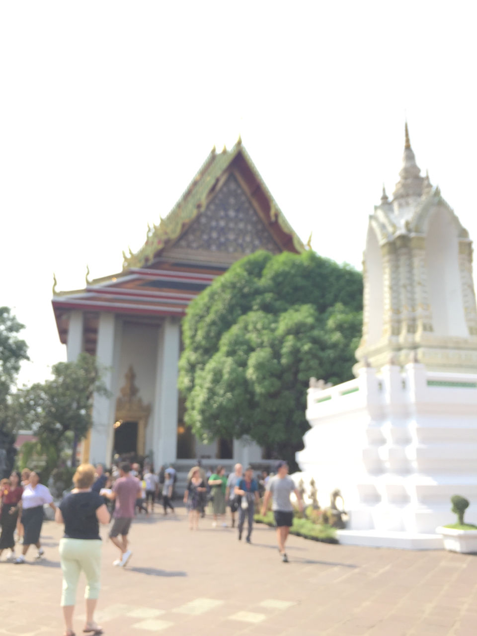 Photo of Who Says you can’t visit Thailand with family by srishti