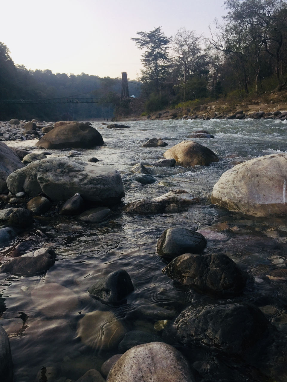 Photo of I Visited Jim Corbett In 100₹ And You Can Too by Traveltemptationss