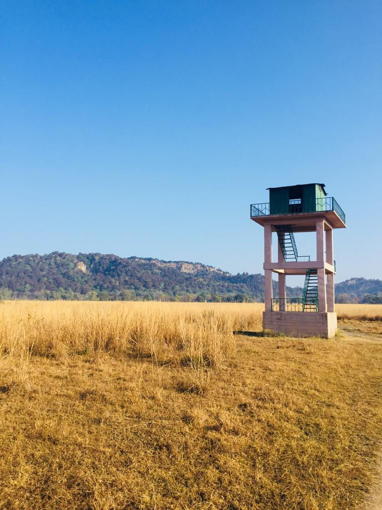 Photo of I Visited Jim Corbett In 100₹ And You Can Too by Traveltemptationss