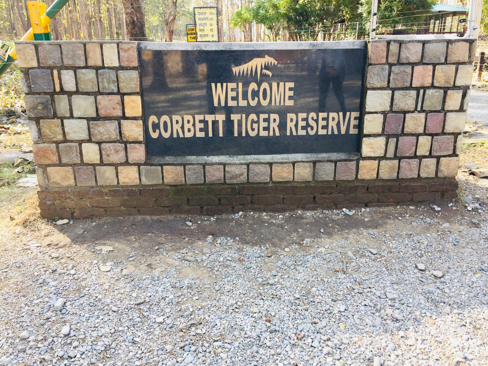 Photo of I Visited Jim Corbett In 100₹ And You Can Too by Traveltemptationss