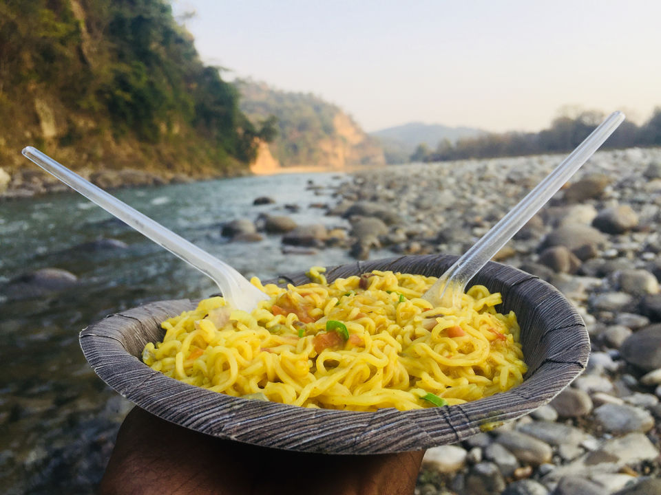 Photo of I Visited Jim Corbett In 100₹ And You Can Too by Traveltemptationss