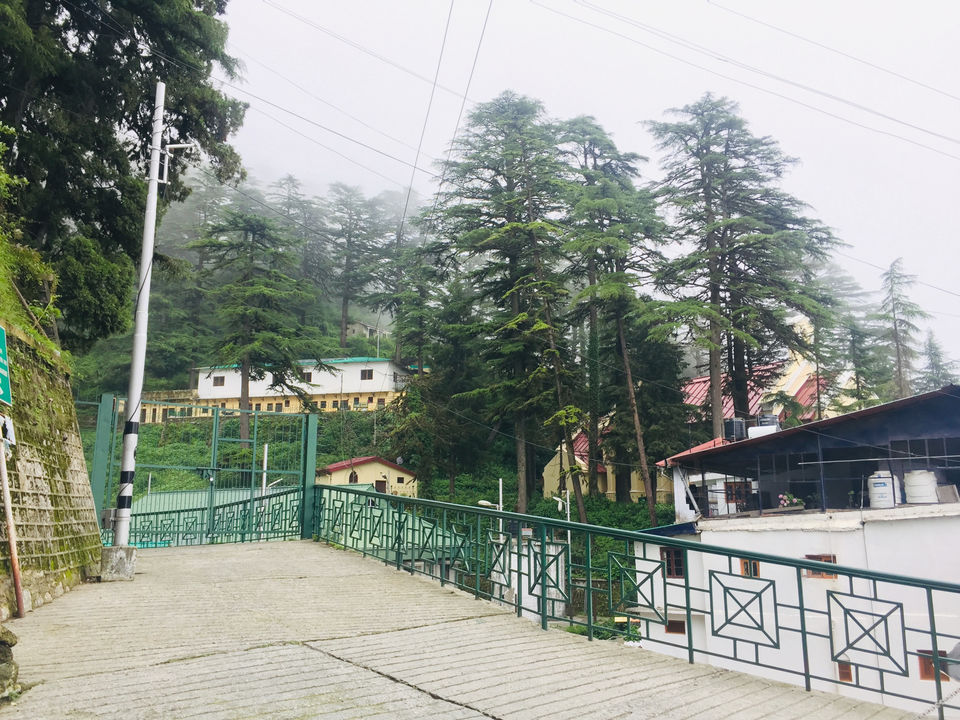 Photo of Landour, Mussoorie, Uttarakhand, India by srishti