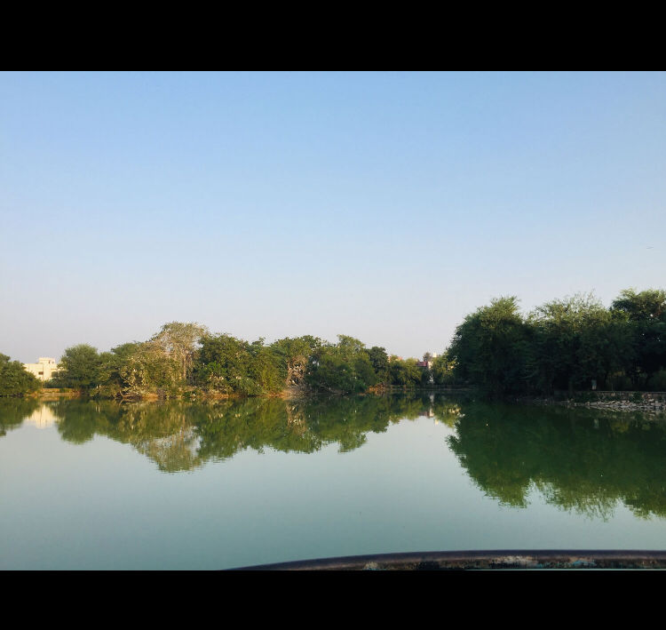 Photo of Crocodile Lake Near Delhi! Post Lockdown Trip by Traveltemptationss