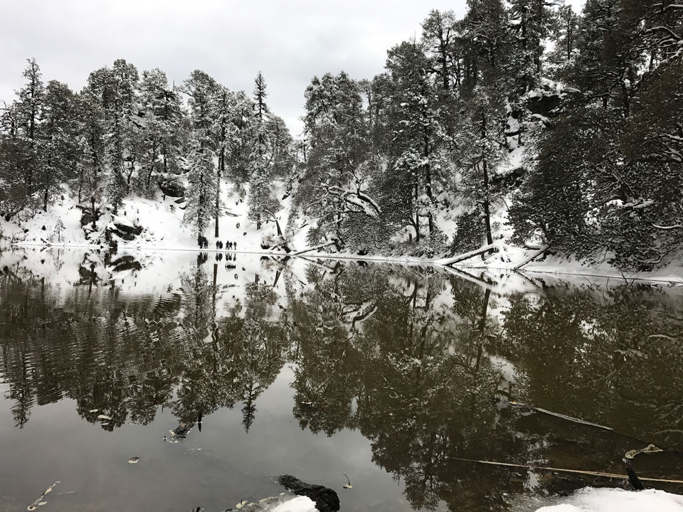 Photo of Brahmatal trek '17(march) by Divyansh