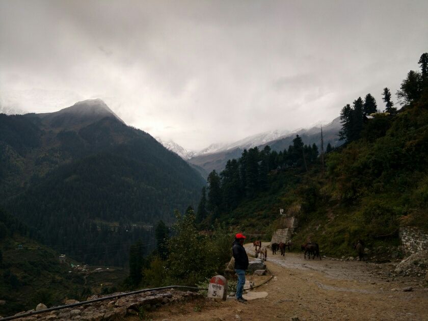 Photo of Tosh, Himachal Pradesh, India by Nomadic Meteor
