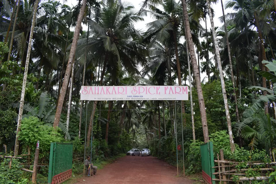 Photo of Sahakari Spice Farm, Curti, Ponda, Goa, India by Nomadic Meteor