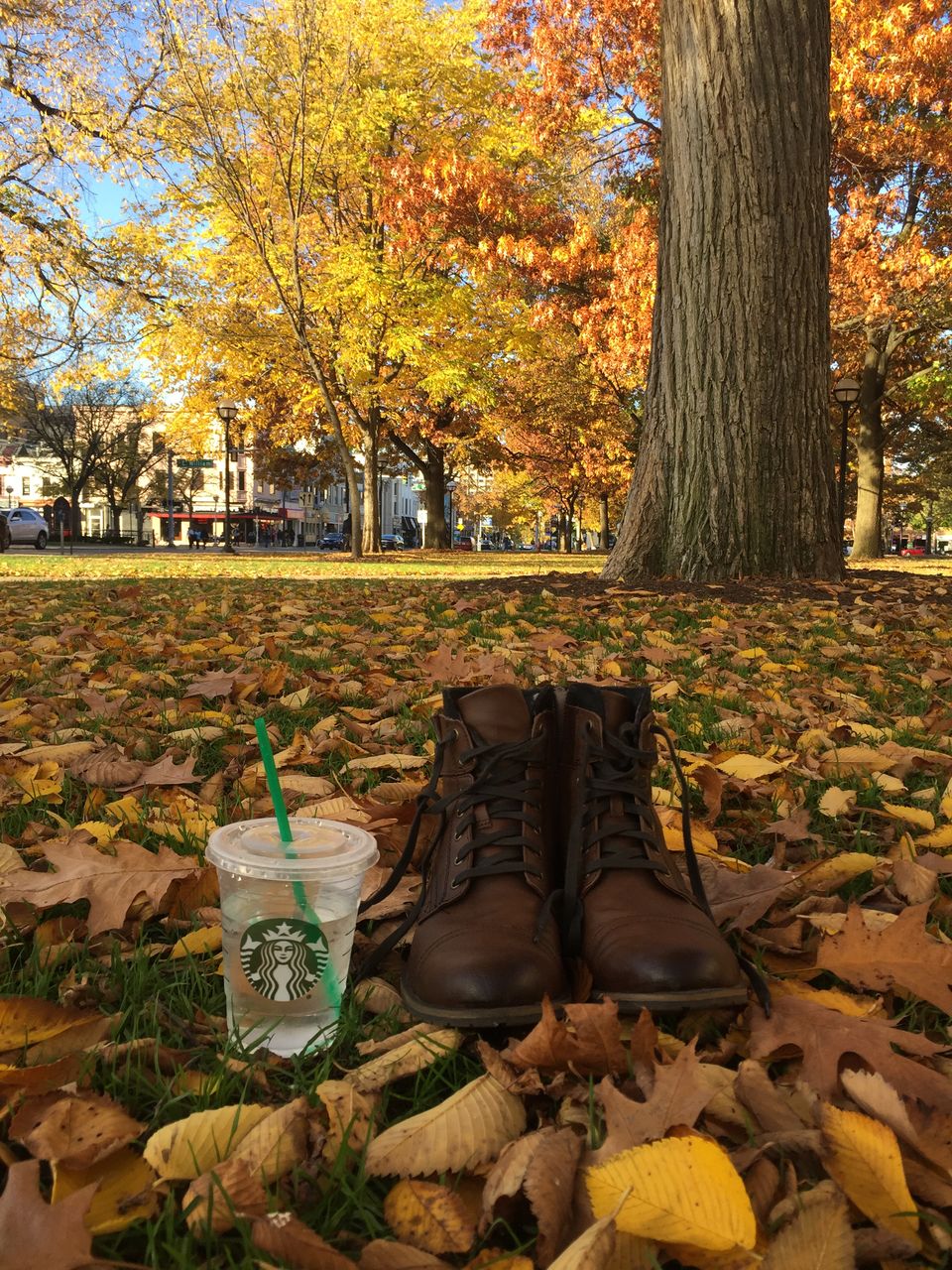 Photo of A Place I'll Never Forget 9/11 by Harsh Agarwal