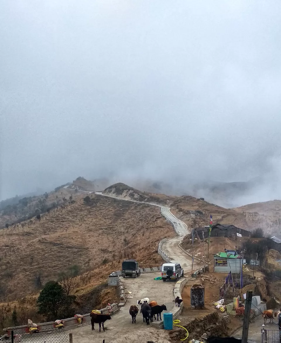 Photo of Sandakphu, Sandakfu, Sandakhphu, West Bengal, India by Souvanik Goon