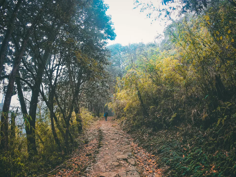 Photo of Sandakphu, Sandakfu, Sandakhphu, West Bengal, India by Souvanik Goon