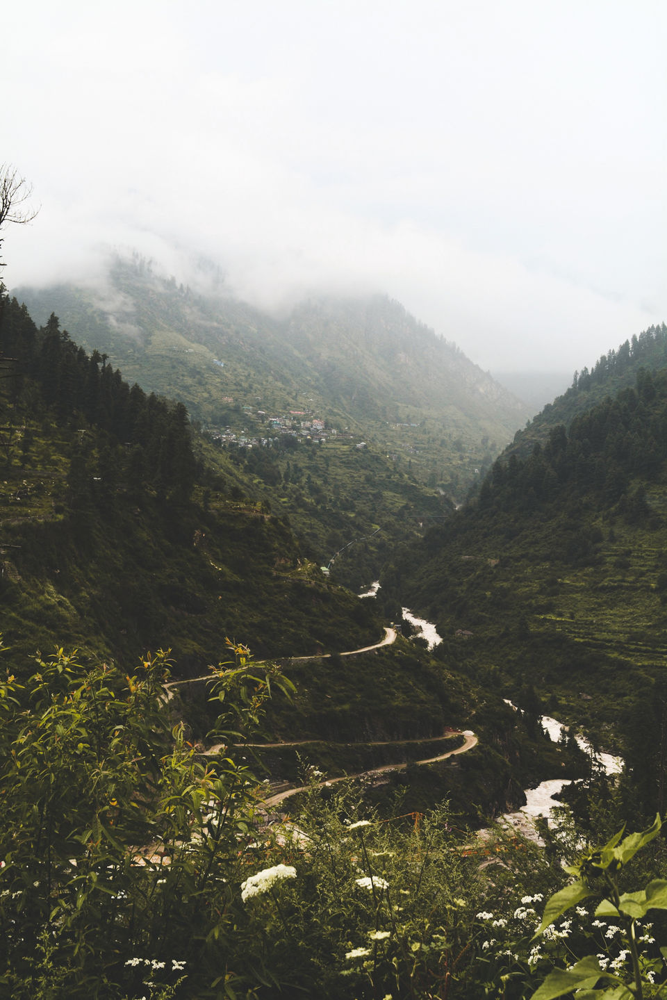 Photo of The Magical Parvati Valley ( Kasol - Kheerganga ) 7/15 by Souvanik Goon