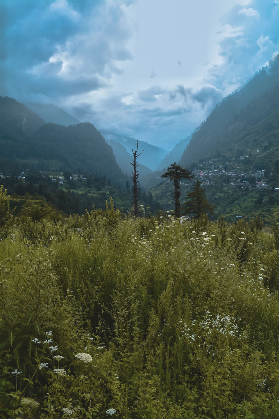 Photo of The Magical Parvati Valley ( Kasol - Kheerganga ) 6/15 by Souvanik Goon