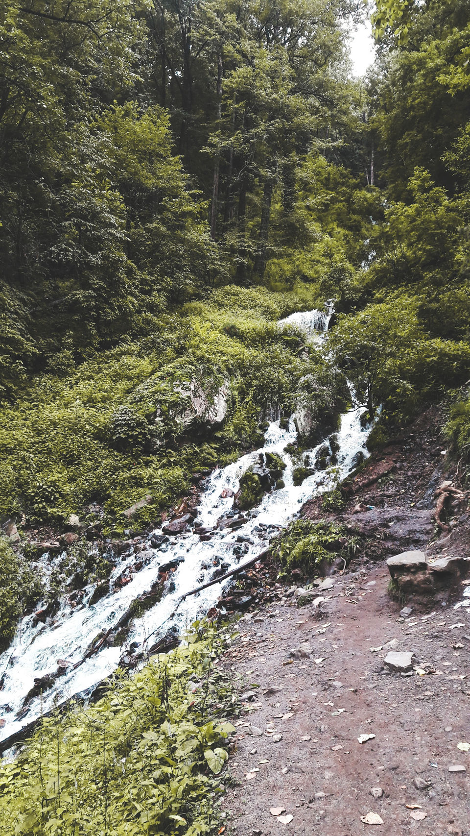 Photo of The Magical Parvati Valley ( Kasol - Kheerganga ) 10/15 by Souvanik Goon