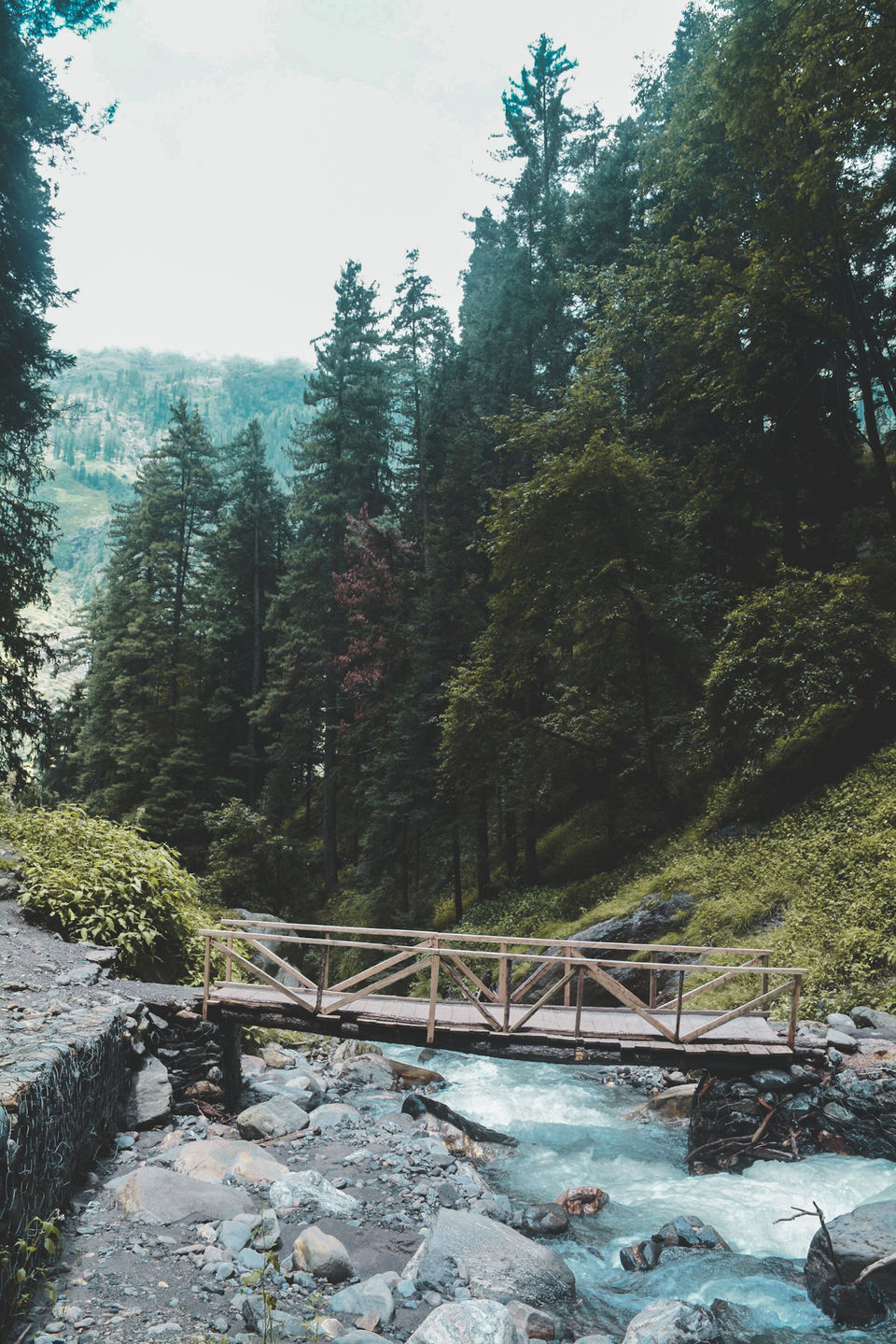 Photo of The Magical Parvati Valley ( Kasol - Kheerganga ) 13/15 by Souvanik Goon