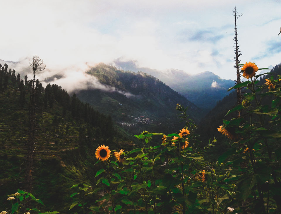 Photo of The Magical Parvati Valley ( Kasol - Kheerganga ) by Souvanik Goon