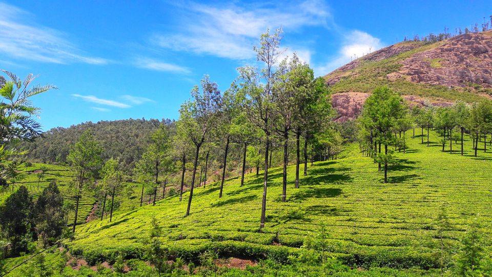 Photo of That's Why Kerala is called God's Own Country. by Souvanik Goon