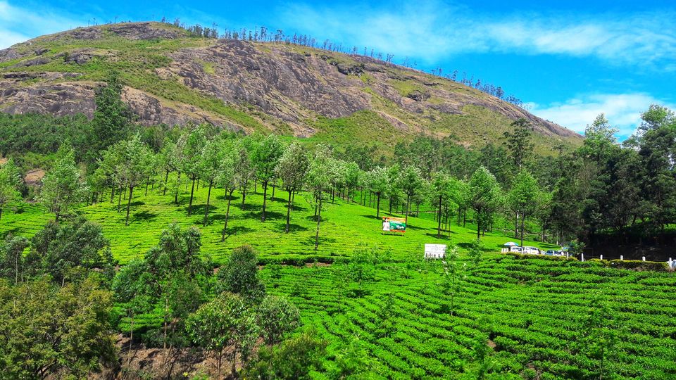 Photo of That's Why Kerala is called God's Own Country. by Souvanik Goon