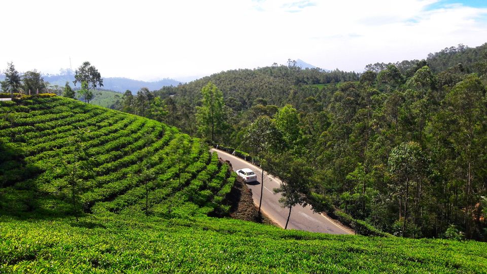 Photo of That's Why Kerala is called God's Own Country. by Souvanik Goon