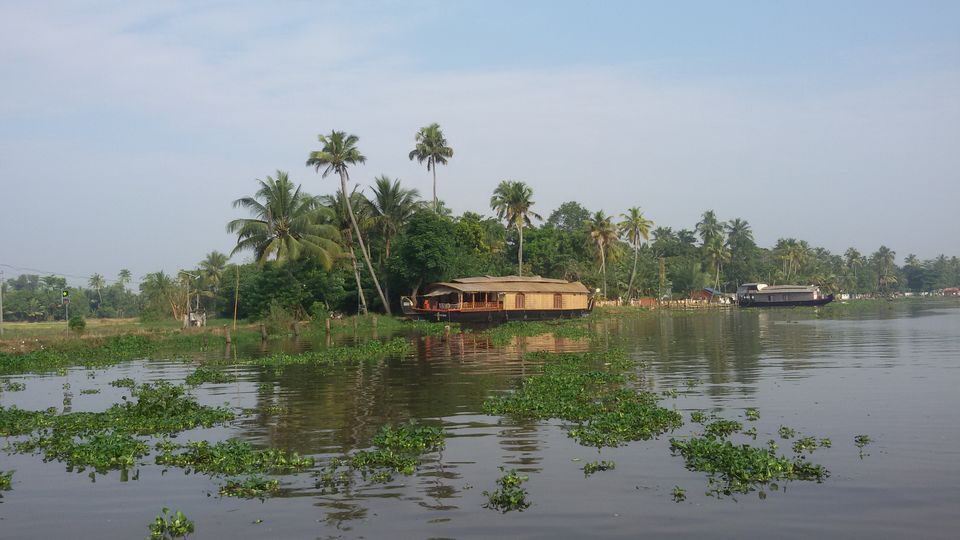 Photo of That's Why Kerala is called God's Own Country. by Souvanik Goon
