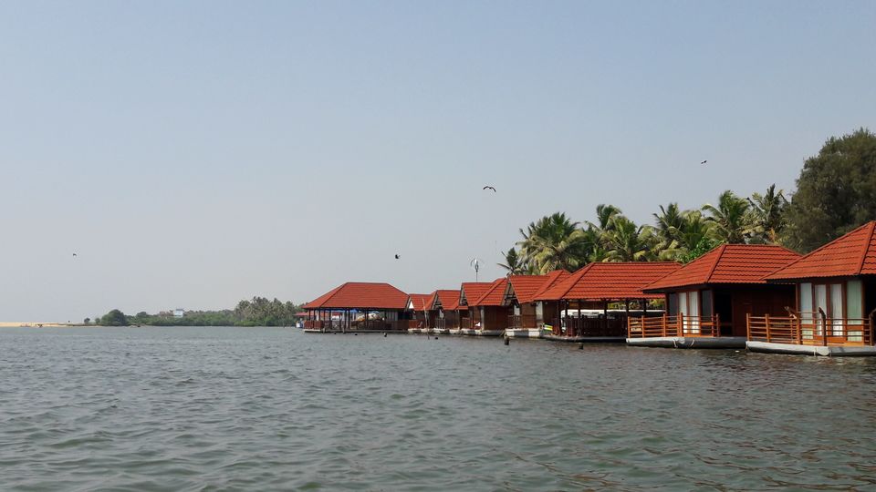 Photo of That's Why Kerala is called God's Own Country. by Souvanik Goon