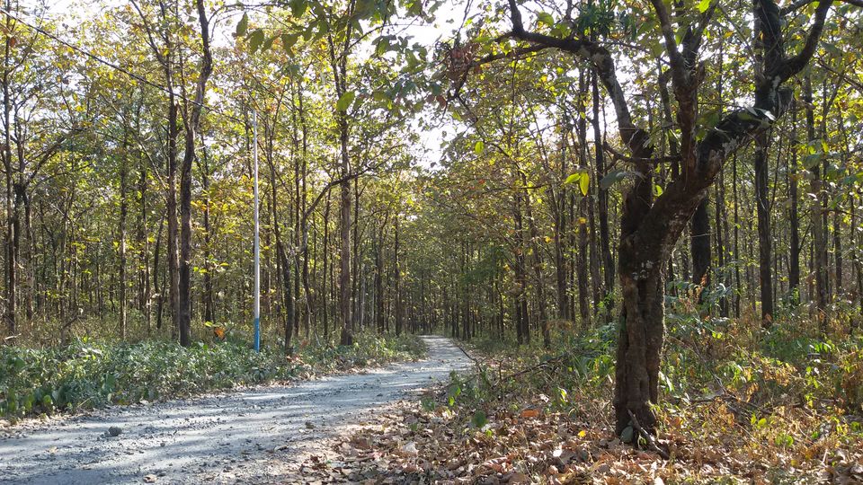 Photo of A Small Village Lepchakha Near Buxa Fort. by Souvanik Goon