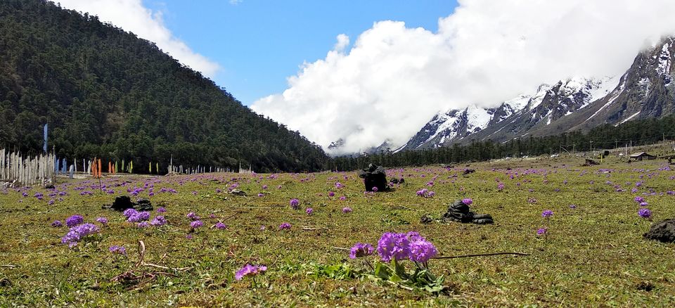 Photo of North Sikkim | Road trip to Gurudongmar Lake | Yumthang | Zero Point | by Souvanik Goon
