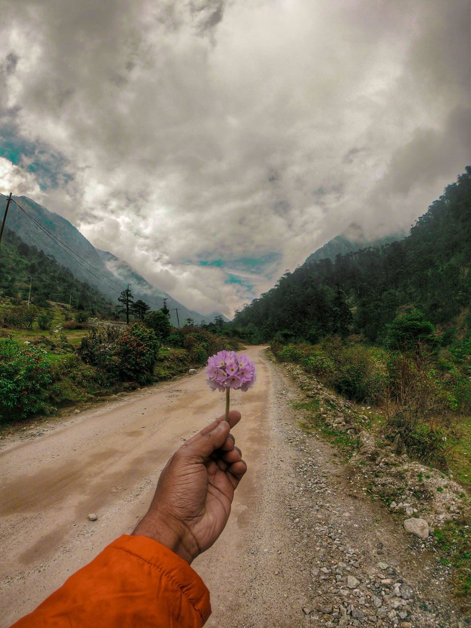 Photo of North Sikkim | Road trip to Gurudongmar Lake | Yumthang | Zero Point | by Souvanik Goon