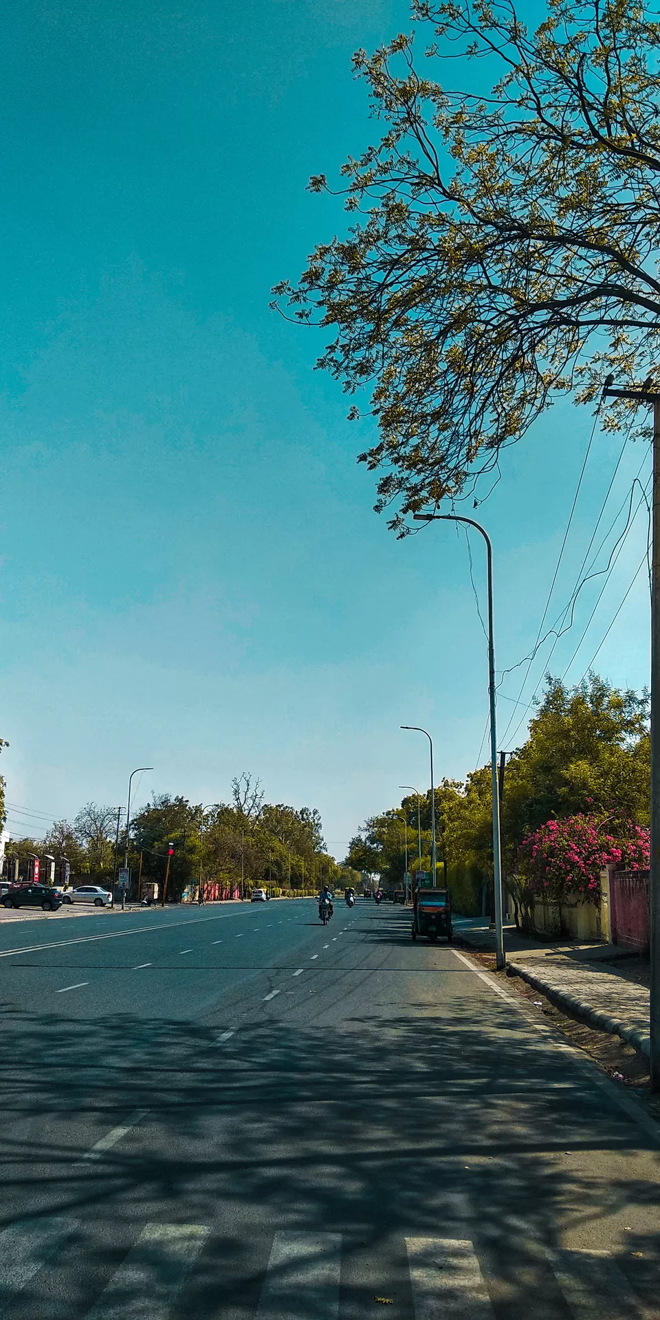 Photo of Spend A Day In Jaipur, India's Pink City. by Souvanik Goon