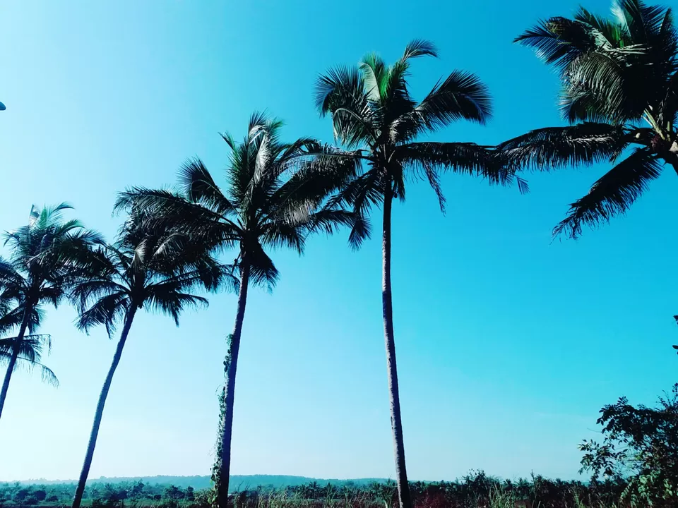 Photo of Goa, India by Pritha Khanal