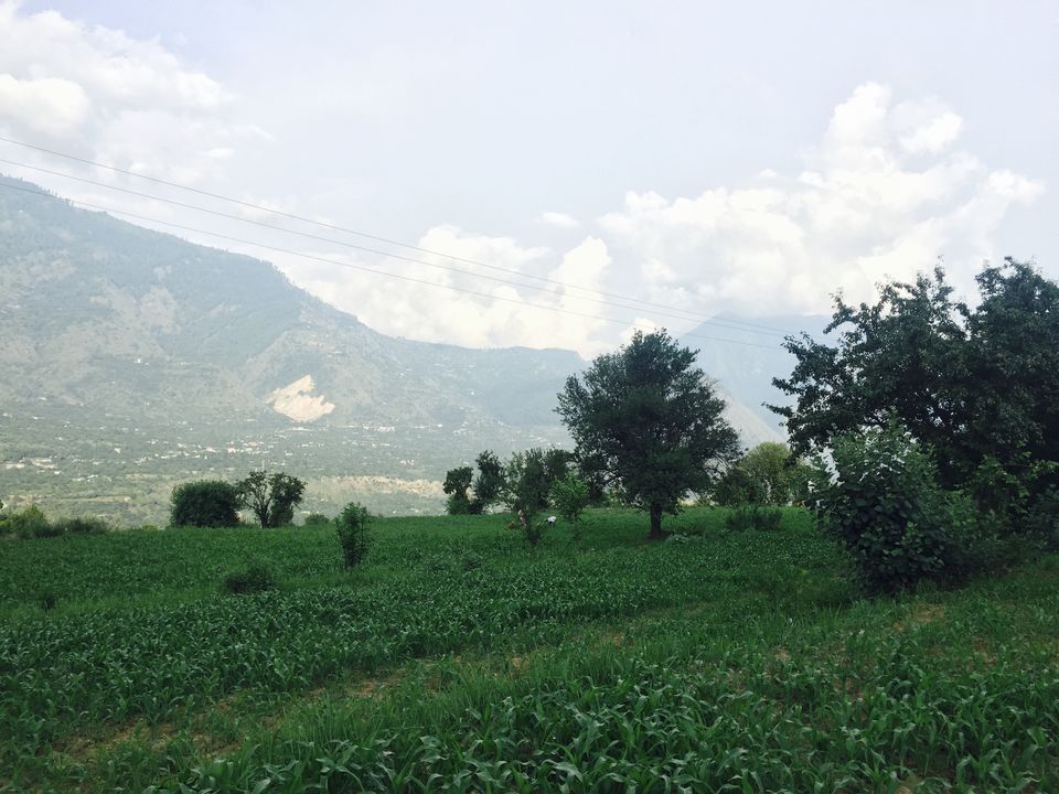 Photo of If Life is taking a toll on you, Head to this mindful destination near Kullu Manali Airport! by Ekta Bhasin