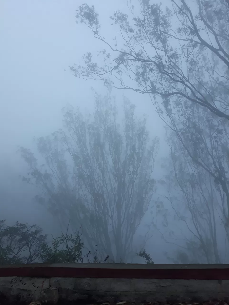 Photo of Drive through the Clouds, Nandi Hills by Prerana Bharadwaj