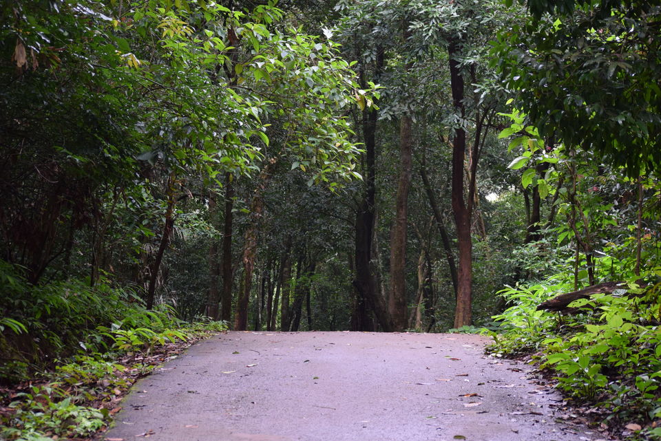 Photo of Yana, Karnataka, India by Prerana Bharadwaj