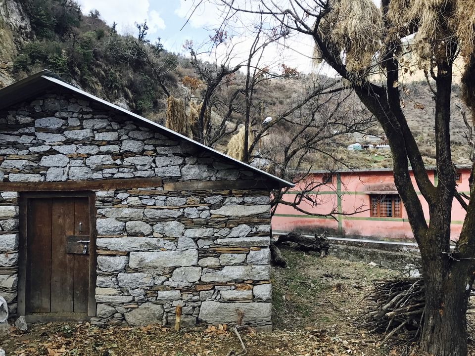 Photo of Dayara Bugyal Trek, Barsu, Uttarakhand, India by Aarush Tandon