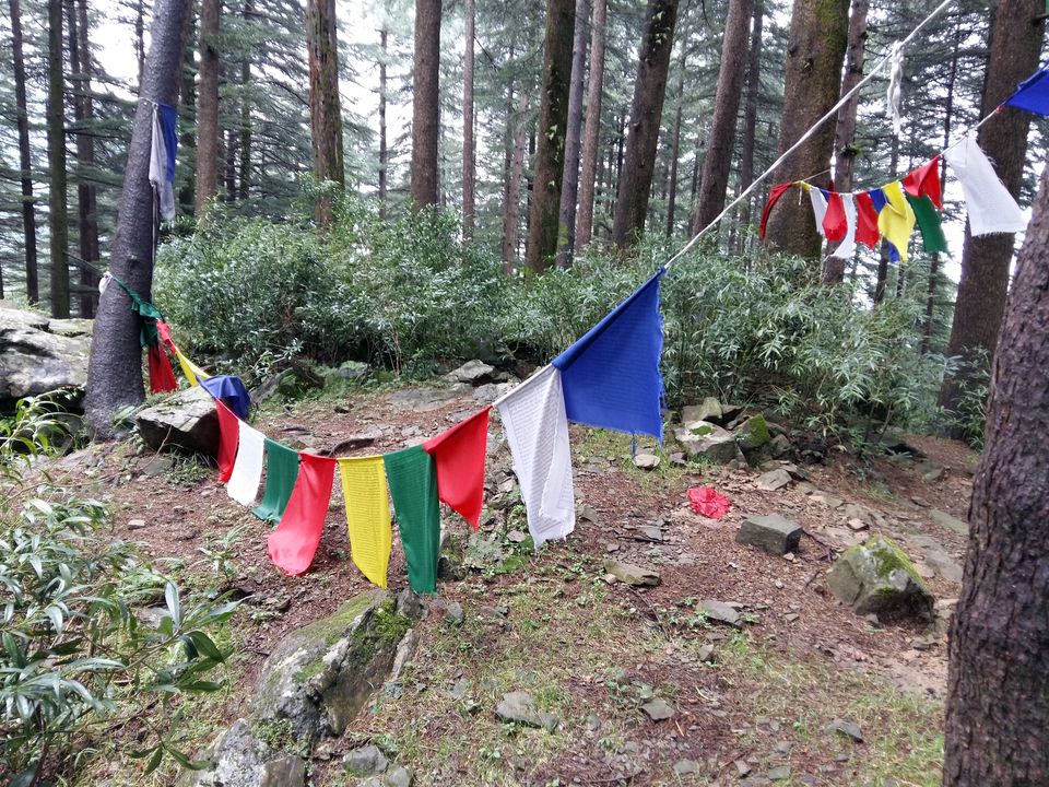 Photo of Triund: An Unexpected Journey by Aarush Tandon